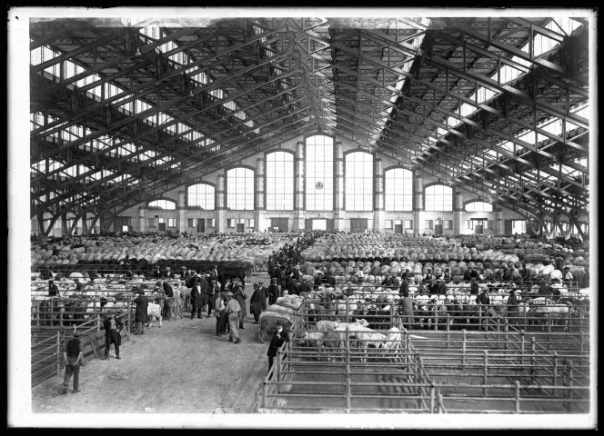 Abattoirs et marché aux bestiaux de la Mouche. T. Garnier architecte ; construits de 1906 à 1914