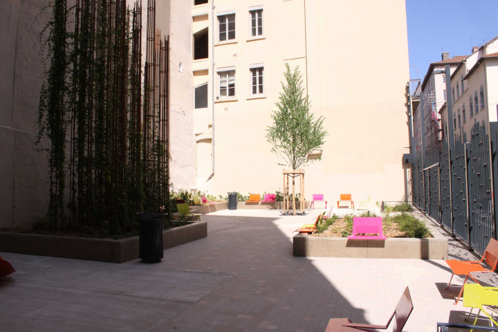 17 rue Burdeau, espace public, jardin.