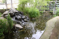 Jardin aquatique.