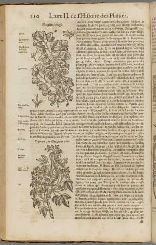 Histoire générale des plantes T1