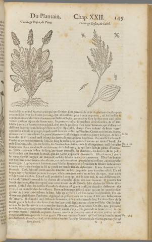 Histoire générale des plantes T2