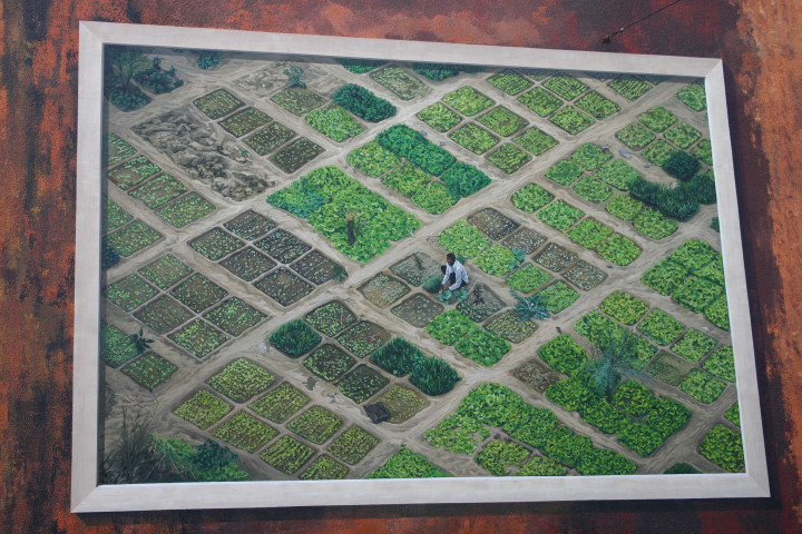Mur peint d'après Yann Arthus-Bertrand.