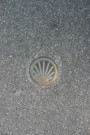 Coquille du chemin de Saint-Jacques de Compostelle.