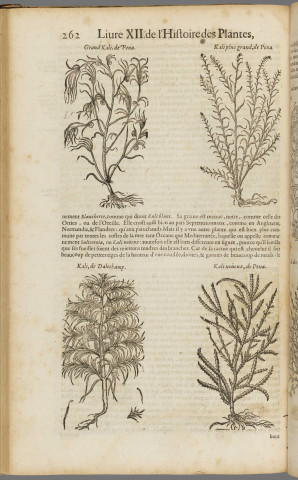 Histoire générale des plantes T2