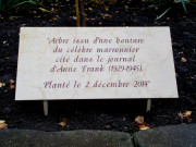 Arbre d'Anne Franck.