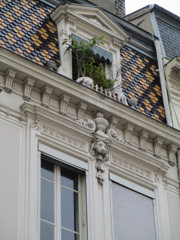 Détail de la toiture.