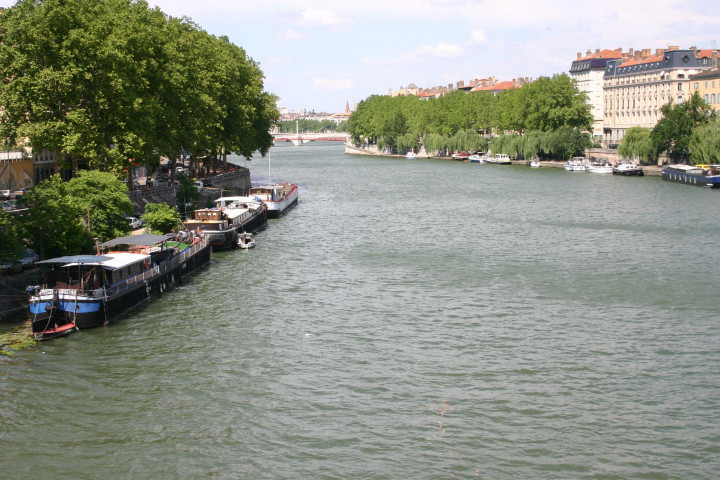 Pont Kitchener, vue sur la Saône vers le nord.