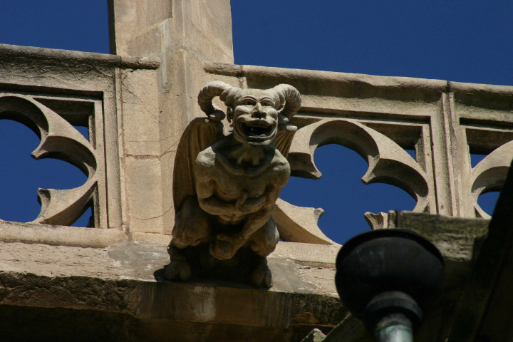 Gargouille, vue prise depuis le Palais Saint-Jean.