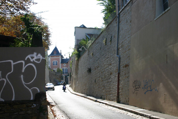 Vers la montée de Choulans.