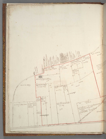 Plans terriers de Vaise et alentour.
