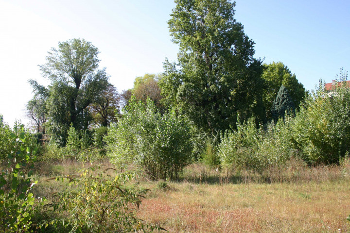 Végétation autour de la caserne Sergent-Blandan.