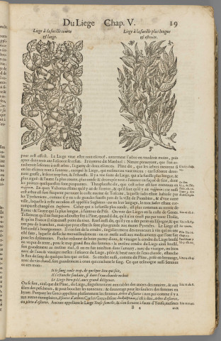 Histoire générale des plantes T1