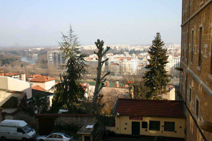 Parc de la Tête-d'Or vu depuis la place Bellevue.