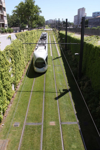 Ligne Tram T4 au niveau de la rue des Frères-Lumière, vue sud.