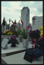 Cimetières et pompes funèbres : allées, concessions et sépultures du cimetière de la Guillotière.