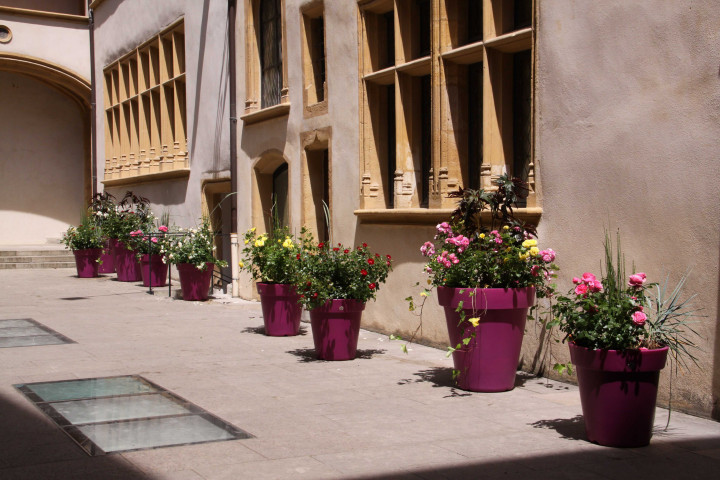 Exposition Roses, cour principale.