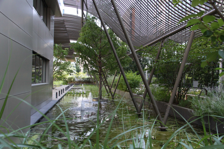 98 avenue Félix-Faure, jardin aquatique.