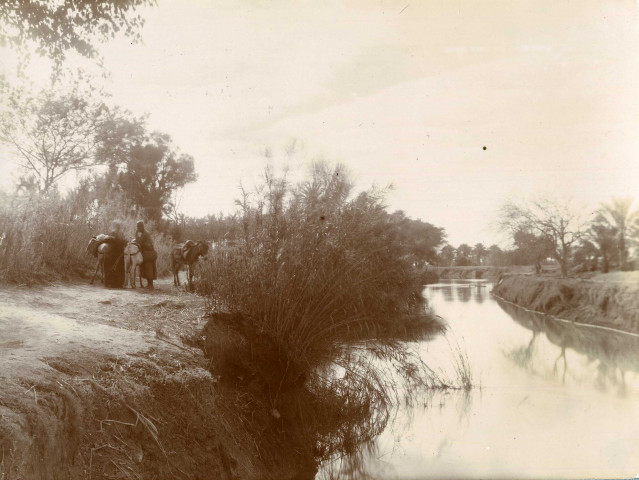 Premier album, d'Alexandrie à Helwan (Egypte).