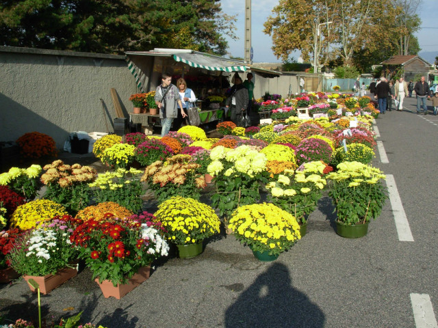 Marchand de fleurs vers le cimetière de Loyasse.