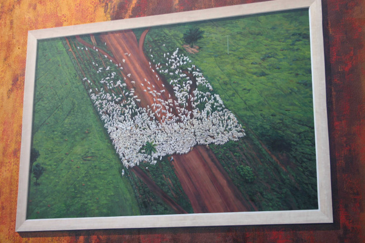 Mur peint d'après Yann Arthus-Bertrand.