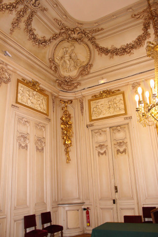 Grand Salon, ornements murs et plafonds.