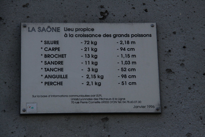 Ecole de pêche, panneau sur la taille des gros poissons de la Saône.