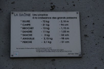 Ecole de pêche, panneau sur la taille des gros poissons de la Saône.