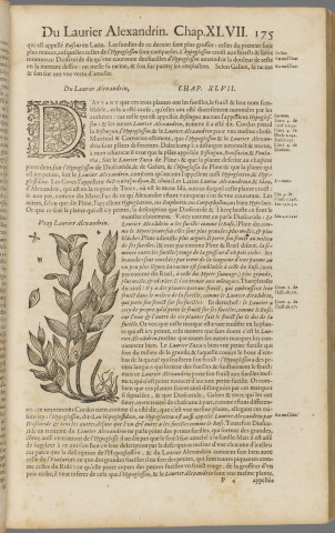 Histoire générale des plantes T1