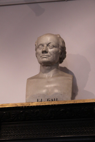 E. Gall.