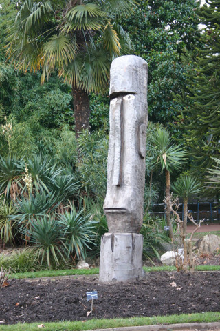 Le Jardin Botanique plantes grasses, diversité de Braymand et Thiebaut.