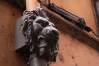 3 et 5 rue du Petit-David, sculpture de lion sur la façade.