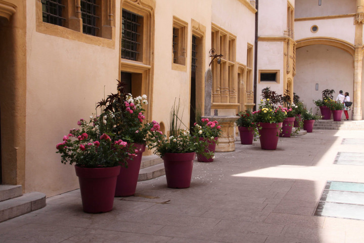Exposition Roses, cour principale.