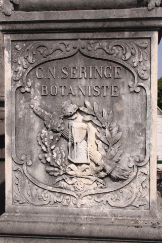 Tombe de C.N Seringe.