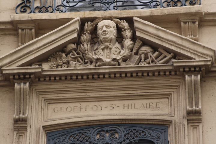 7 place d'Helvétie et rue Malesherbes, détail sur la façade, Geoffroy Saint-Hilaire.