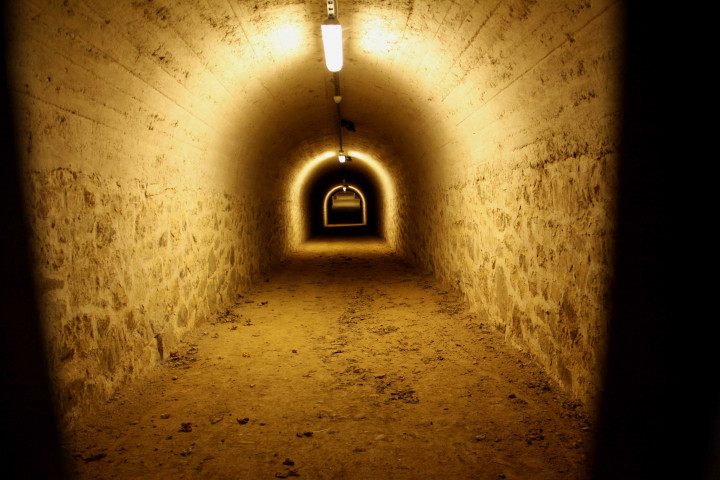 Fort du Bruissin, tunnel et espaces extérieurs.