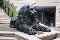 Lion du pont La Feuillée.