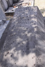 Tombe de Salendre Georges.