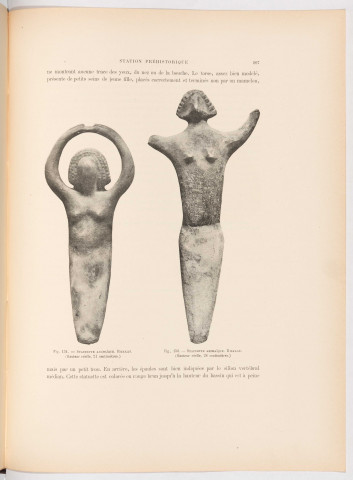 Archives du Muséum d'histoire naturelle de Lyon, T1-T11, T14