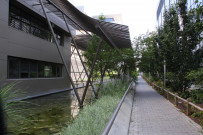 98 avenue Félix-Faure, jardin aquatique.
