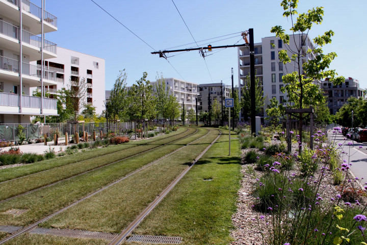 Rue de l'Epargne vers le boulevard des Tchécoslovaques, rails du tramway.