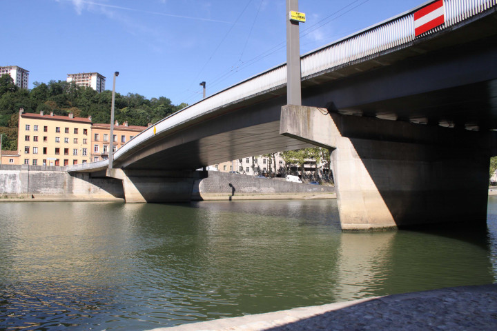 Pont Clémenceau.
