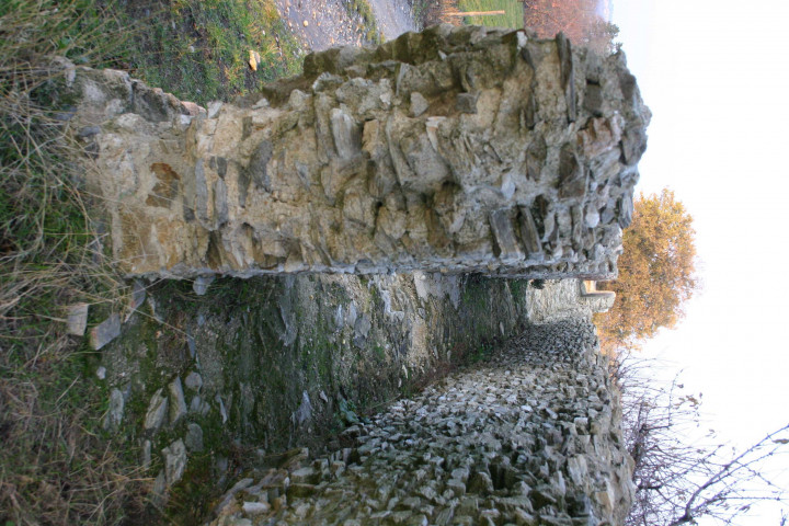 Soucieu-en-Jarrest, aqueducs romains.