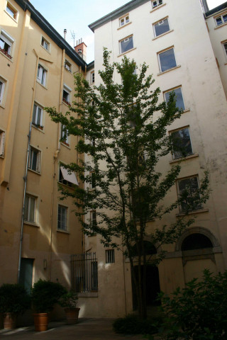 6 rue des Capucins, cour intérieure.