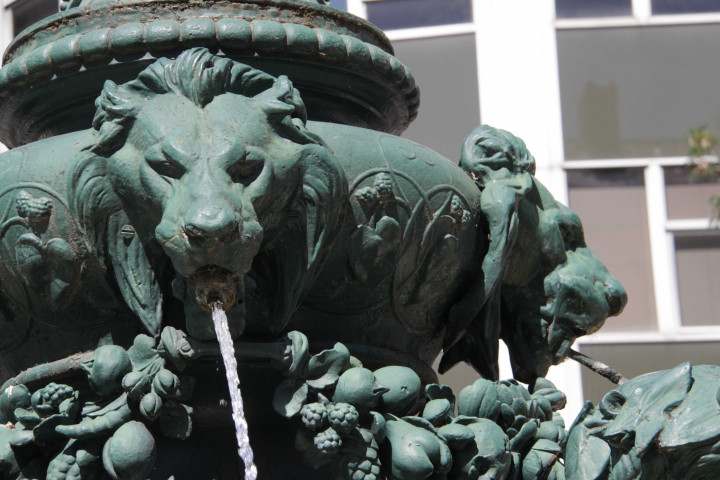 Fontaine de Joseph-Gustave Bonnet et de la fonderie Barbezat, détails.