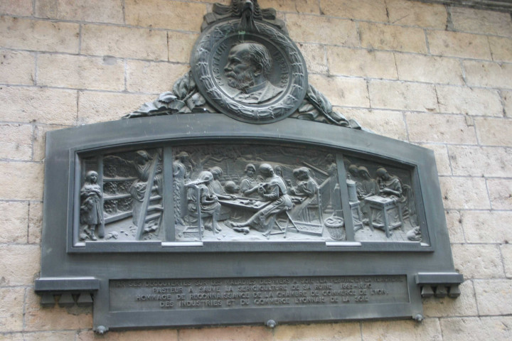 Condition des soies, bas-relief de Louis Pasteur de Jean Chorel.