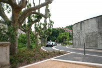 Aménagement du site de l'ancien hôpital de l'Antiquaille.