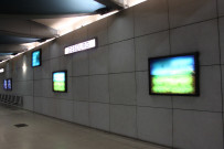 Station de métro Debourg, la Forêt souterraine de Bruno Yvonnet.