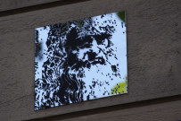 Angle de la place Kleber et du cours Franklin-Roosevelt, miroir 2011 portrait de Léonard de Vinci.
