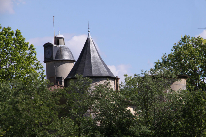 Vue de la toîture du château.