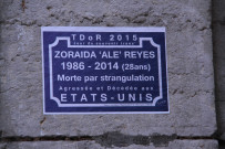 Rue René-Leynaud rebaptisée en hommage à Zoraida "Ale" Reyes, journée du souvenir Trans, collage.